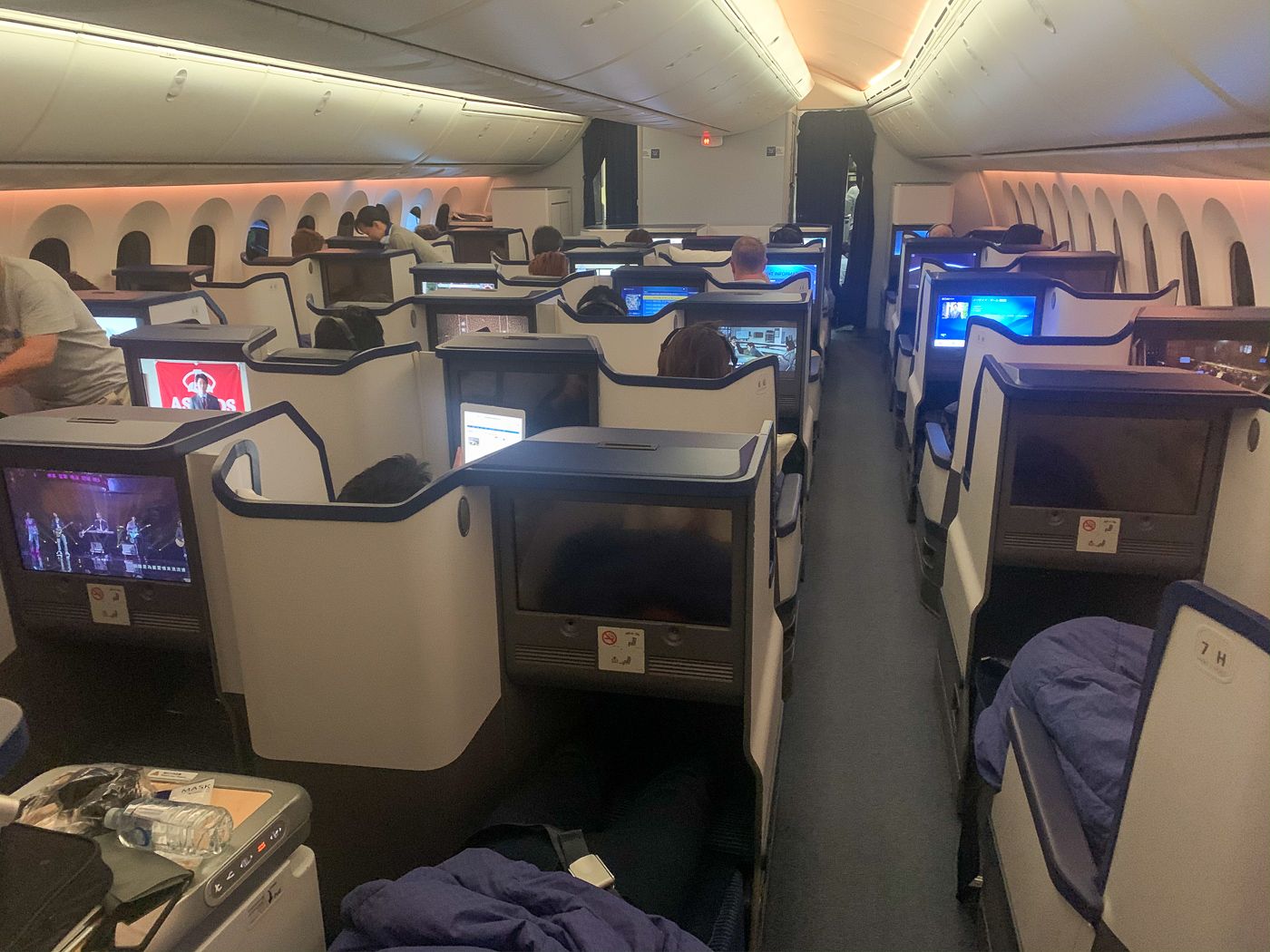 Review: ANA NH880 787 Business Class Sydney to Tokyo