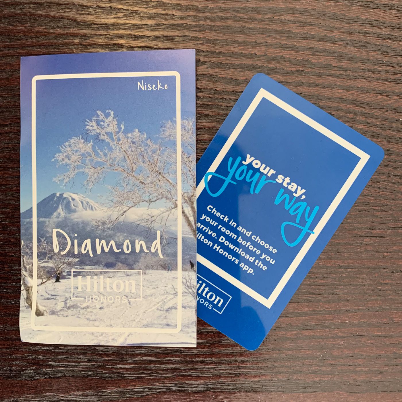 Review: Niseko Village Hilton