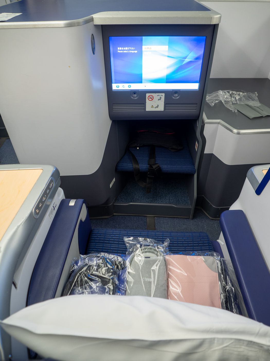 Review: ANA NH880 787 Business Class Sydney to Tokyo